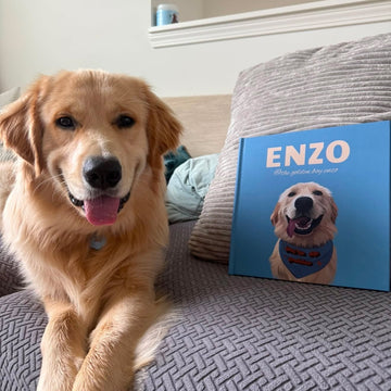 A golden retriever dog sits on a gray textured couch next to a custom printed hardcover book titled 'ENZO' with a photo of the dog on the cover.