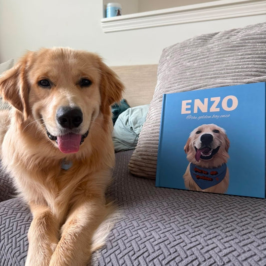 A golden retriever dog sits on a gray textured couch next to a custom printed hardcover book titled 'ENZO' with a photo of the dog on the cover.