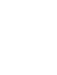 palm tree drawing in white