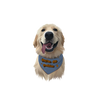 Retrato de mascota personalizado para álbum de fotos