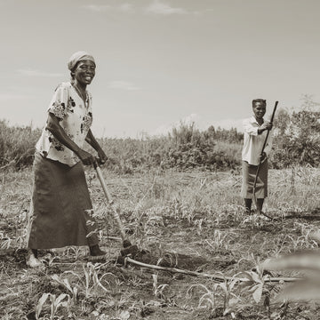 Two people working in a field with tools, likely engaged in agricultural activities.