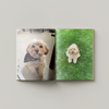 An open printed photo book or album displayed against a light gray background. The pages show two photographs of a small fluffy dog: one sitting indoors on a carpet with a bandana, and one standing on green grass outdoors.