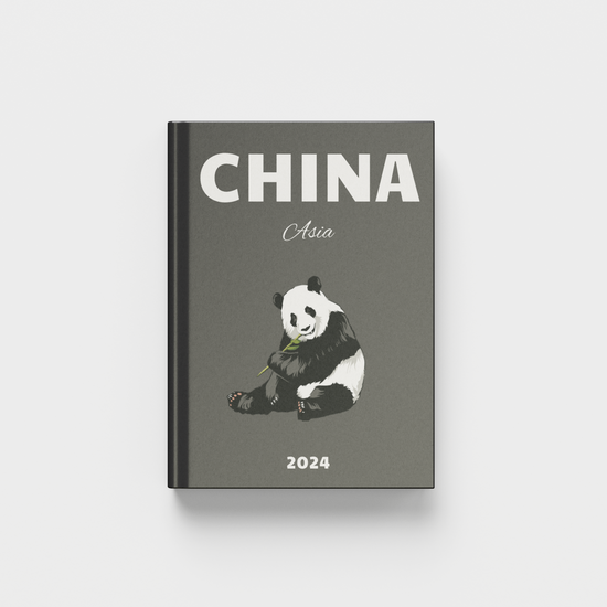 photobook titled 'China Asia 2024' with a panda illustration on a gray background