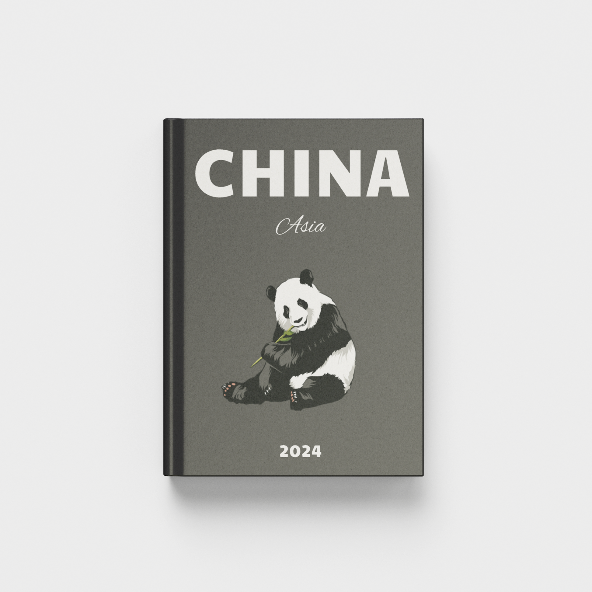 photobook titled 'China Asia 2024' with a panda illustration on a gray background