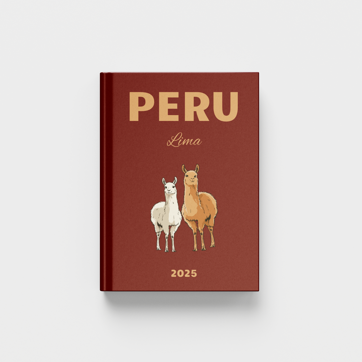 South America