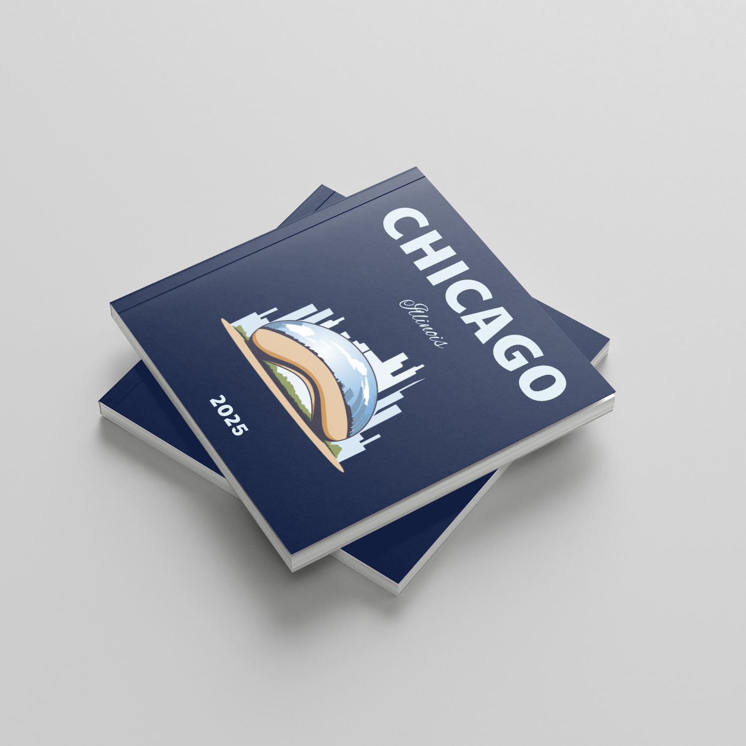 Two blue photobooks titled 'Chicago' on a light gray background