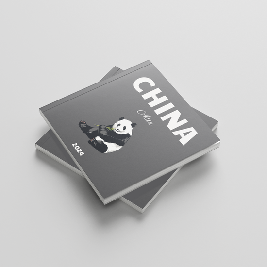 Stack of photobooks titled 'China' with a panda illustration on a light gray background