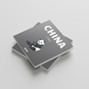 Stack of photobooks titled 'China' with a panda illustration on a light gray background