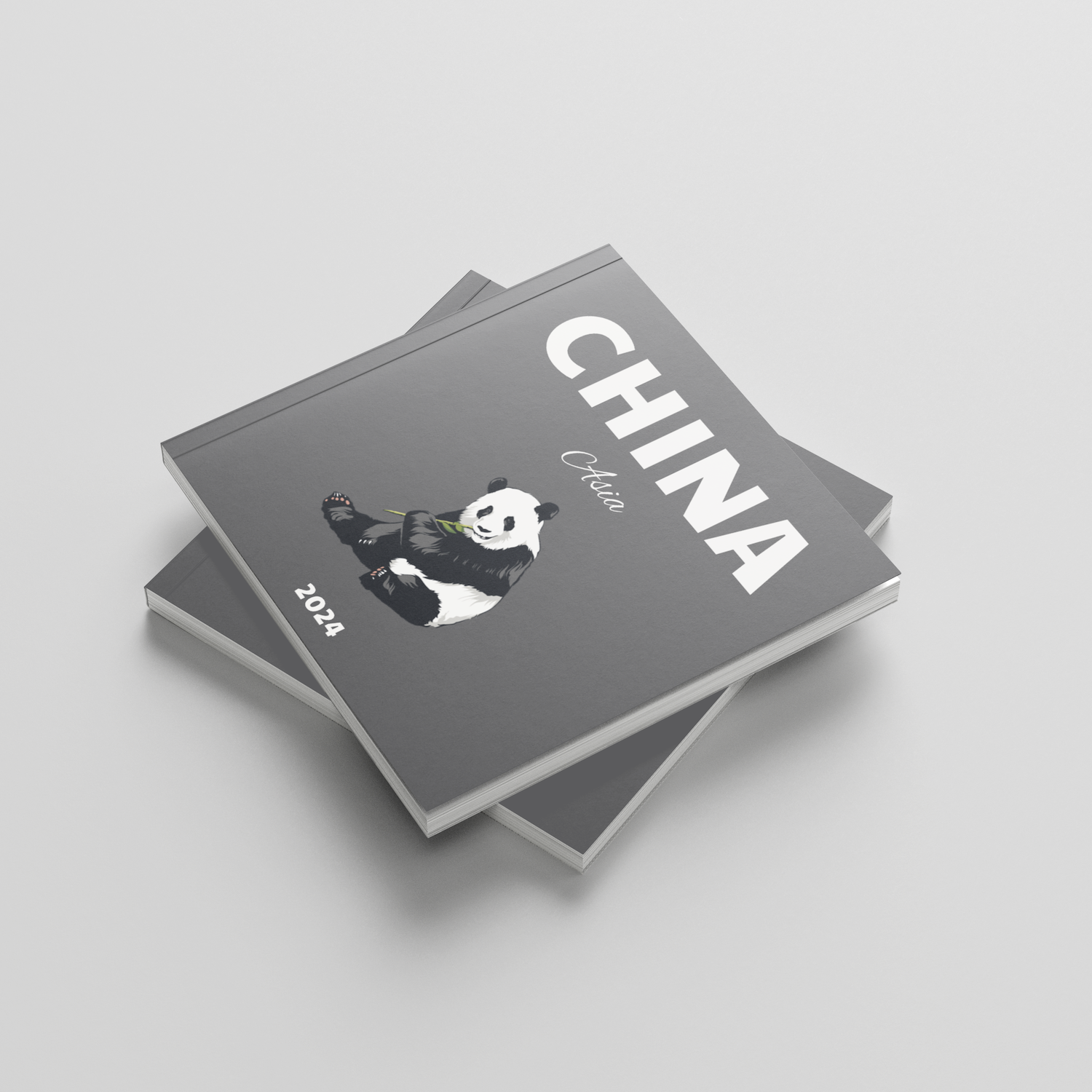 Stack of photobooks titled 'China' with a panda illustration on a light gray background