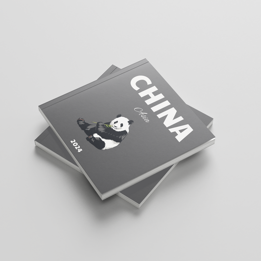 Stack of photobooks titled 'China' with a panda illustration on a light gray background