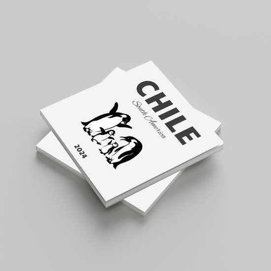 Stack of white photobooks with 'CHILE' and a face illustration on a gray background