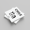Stack of white photobooks with 'CHILE' and a face illustration on a gray background