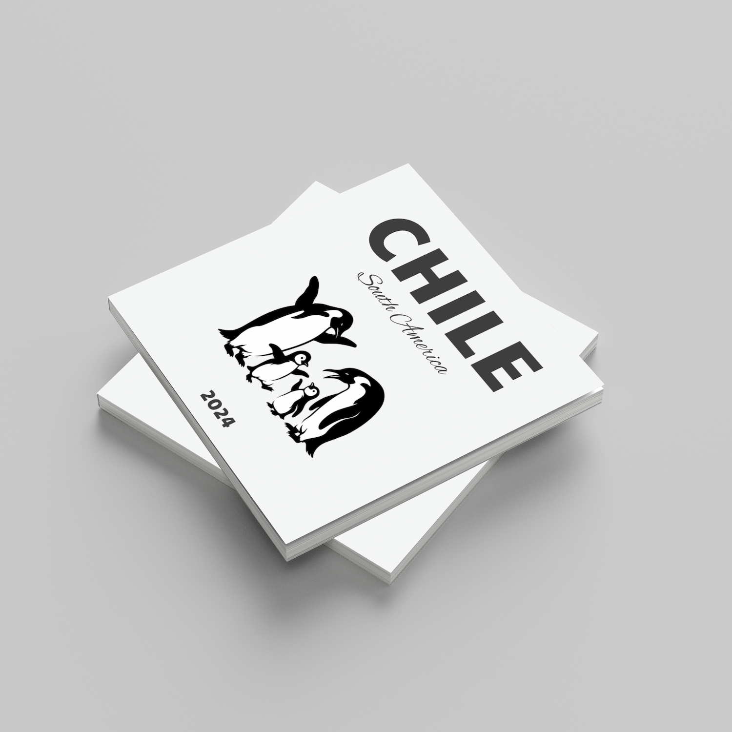 Stack of white photobooks with 'CHILE' and a face illustration on a gray background