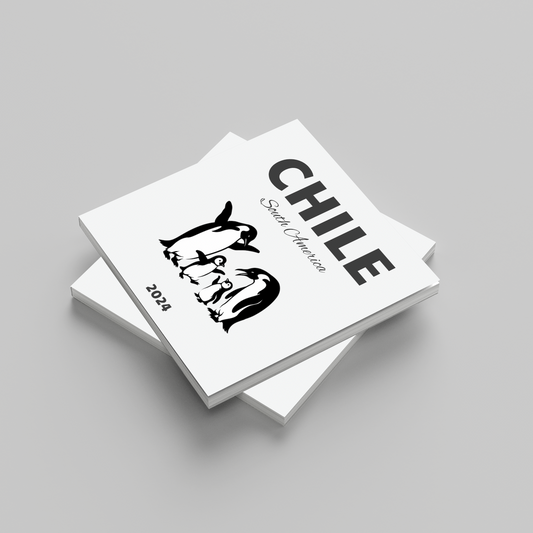 Stack of white photobooks with 'CHILE' and a face illustration on a gray background