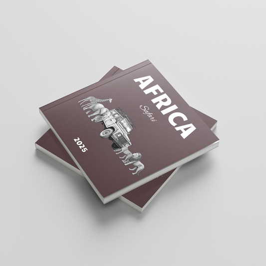 Stack of photobooks titled 'Africa' on a light gray background